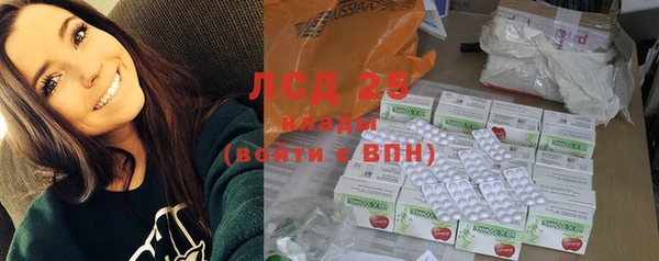 гашик Сатка