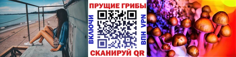 продажа наркотиков  Светлый  Галлюциногенные грибы Magic Shrooms 